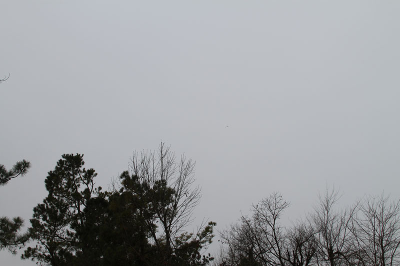 IMG_1867