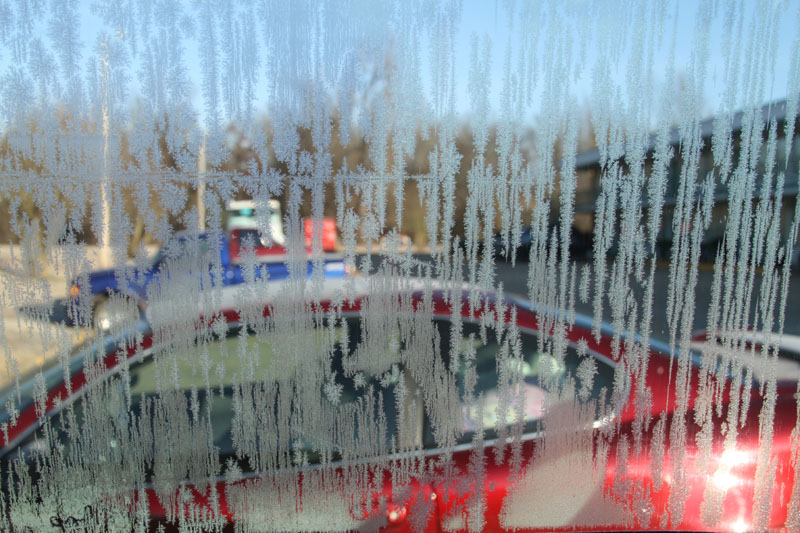 IMG_1977
