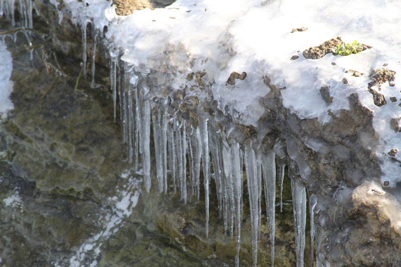 IMG_2254