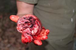 IMG_2517
