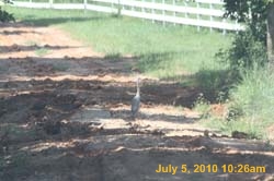 IMG_0770