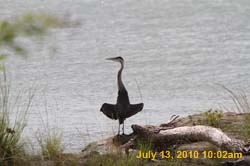 IMG_0774