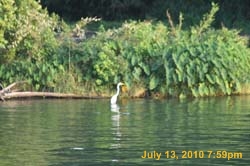 IMG_0779