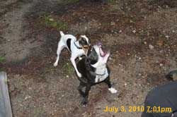 IMG_8812