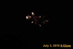 IMG_8828
