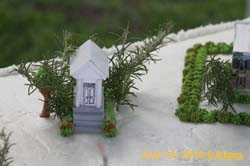IMG_8902