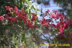 IMG_9053