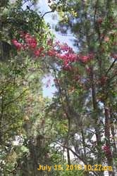 IMG_9054