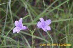 IMG_9068