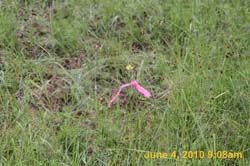 IMG_8155