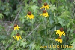 IMG_8355