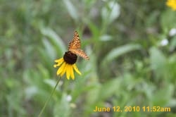 IMG_8361