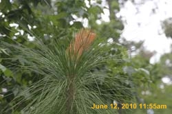 IMG_8367