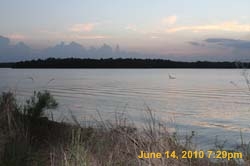 IMG_8450