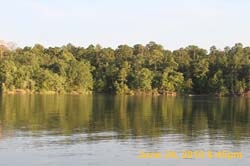 IMG_8530