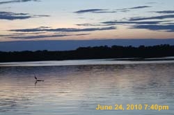 IMG_8533