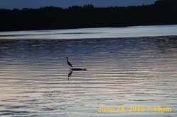 IMG_8534