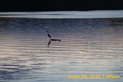 IMG_8535