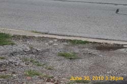 IMG_8724