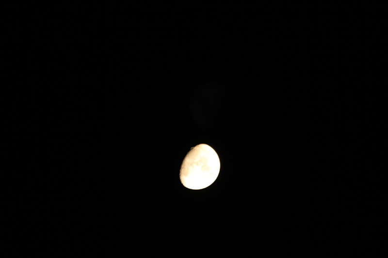 IMG_0725