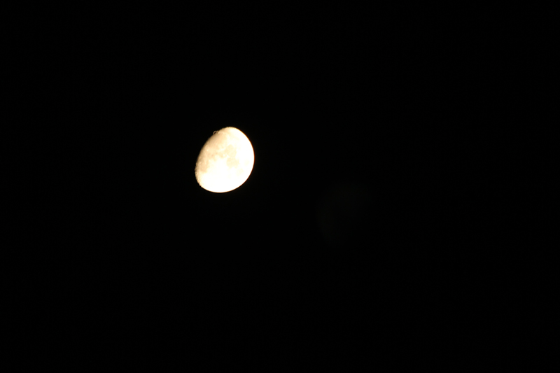 IMG_0726