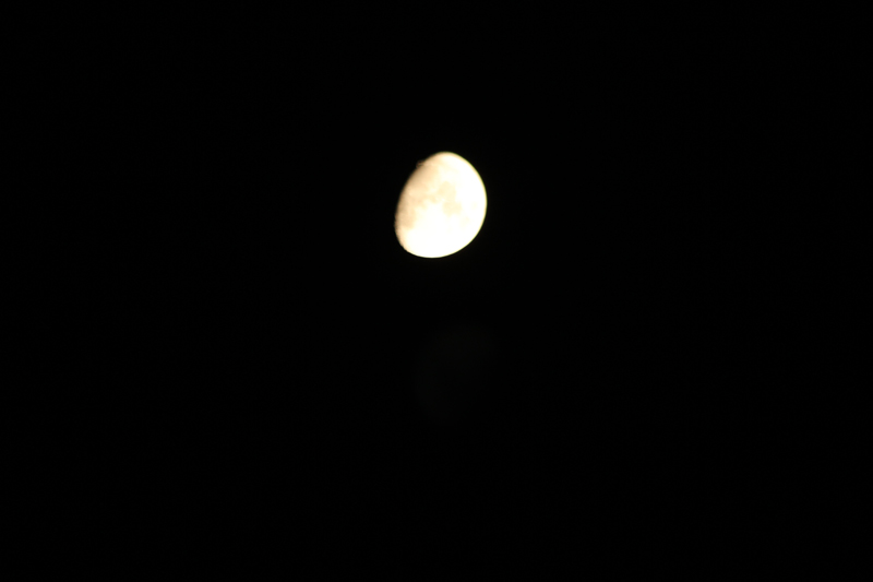 IMG_0727