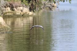 IMG_0720