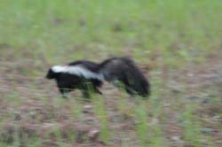 IMG_0729