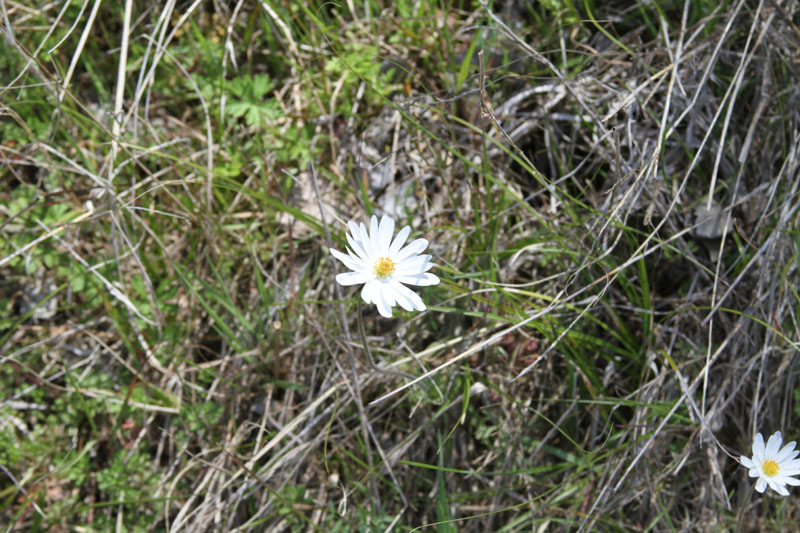 IMG_4748