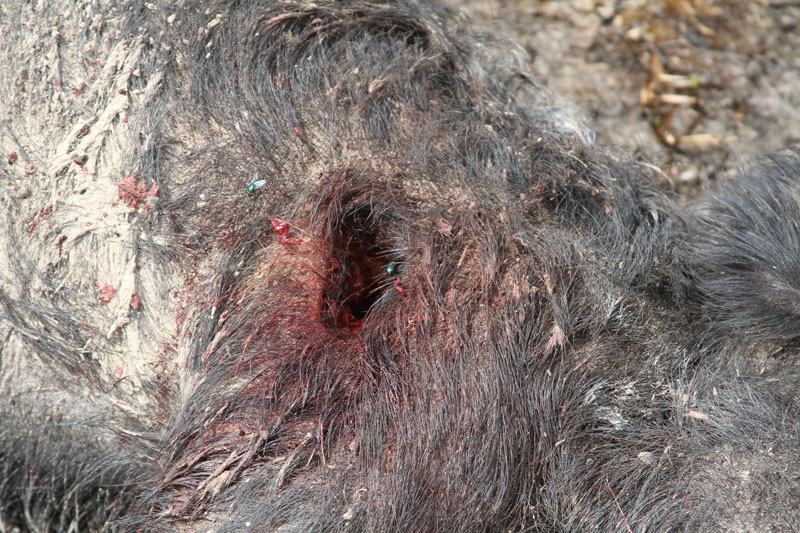 IMG_6040