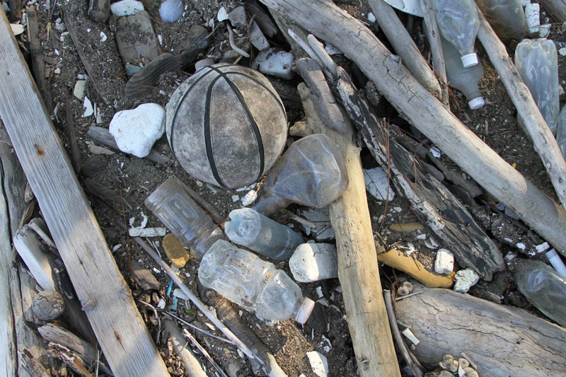 IMG_6288