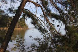 IMG_4908