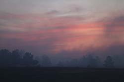 IMG_5009