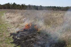IMG_5056