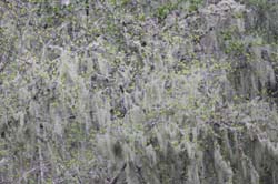 IMG_5253