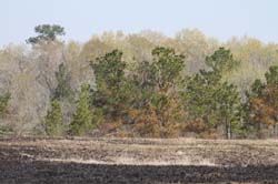 IMG_5324