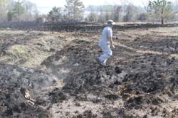 IMG_5333