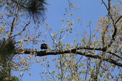 IMG_5603