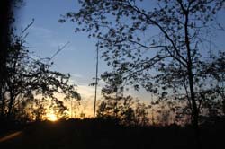 IMG_5696