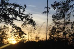 IMG_5697