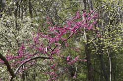 IMG_5795