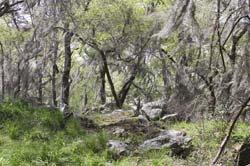 IMG_6181