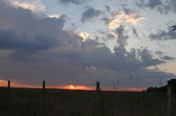 IMG_7961