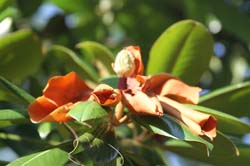 IMG_7967