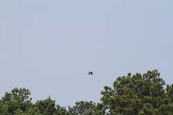IMG_0589