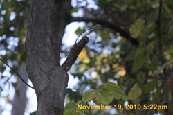 IMG_2223