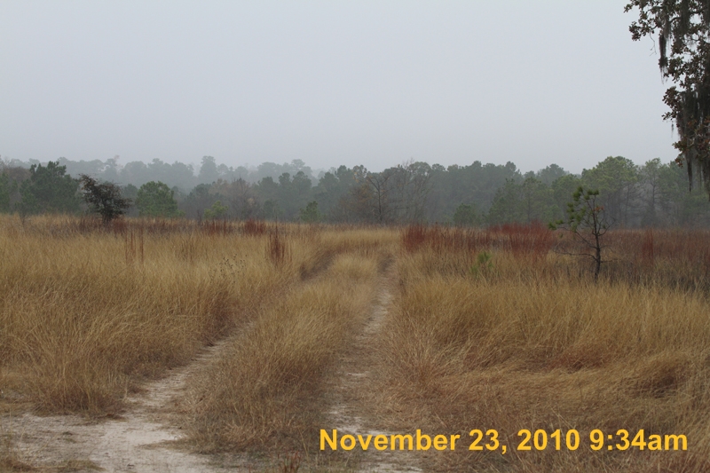 IMG_1426