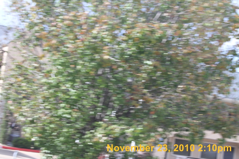 IMG_1447