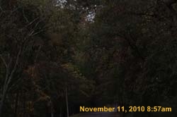 IMG_1390