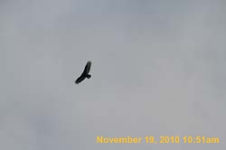 IMG_1405